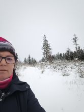 Vendy - datum výstupu: 29. 11. 2025 09:18