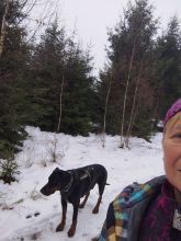 Reiny - datum výstupu: 03. 12. 2025 10:24