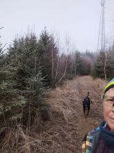 Reiny - datum výstupu: 15. 12. 2025 10:59