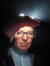 Vendy - datum výstupu: 11. 12. 2025 17:18