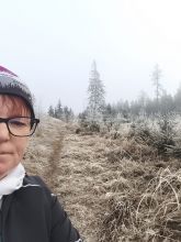 Vendy - datum výstupu: 15. 12. 2025 09:22