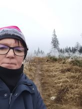 Vendy - datum výstupu: 17. 12. 2025 14:46