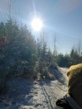 Žanda - datum výstupu: 27. 12. 2025 12:46