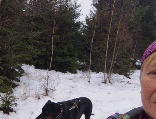 Reiny - datum výstupu: 03. 12. 2025 10:24