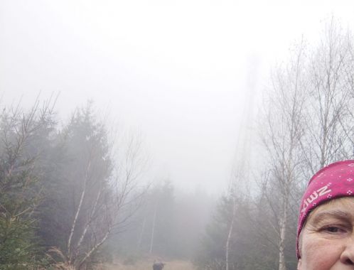 Reiny - datum výstupu: 11. 12. 2025 09:41