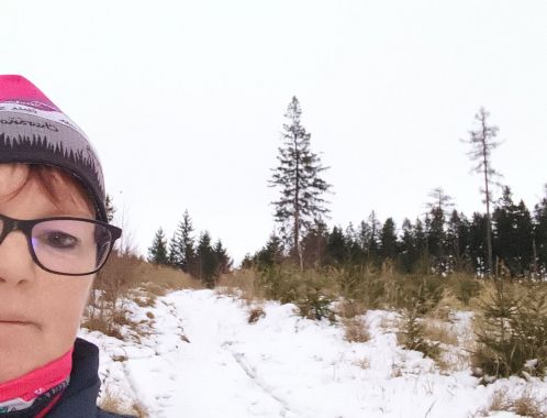 Vendy - datum výstupu: 01. 12. 2025 16:15