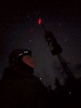 liska_lesni - datum výstupu: 11. 01. 2026 18:37