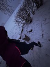 Monča móňa - datum výstupu: 04. 02. 2026 17:18