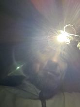 Shimi - datum výstupu: 10. 02. 2026 18:49