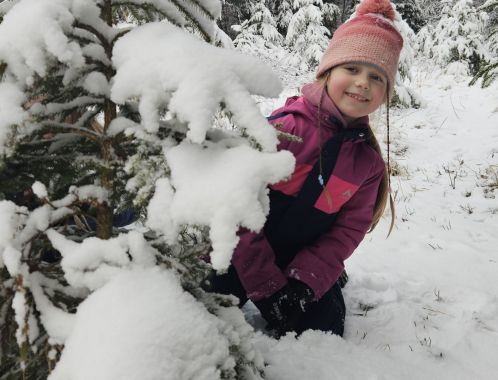 Amali - datum výstupu: 01. 02. 2026 15:53