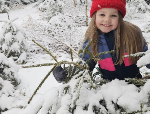 Julka - datum výstupu: 01. 02. 2026 15:52