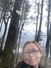 Kytka - datum výstupu: 12. 03. 2026 14:50