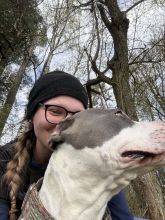 Vanes - datum výstupu: 20. 04. 2026 17:51