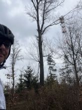 Škorpa - datum výstupu: 15. 04. 2026 17:03