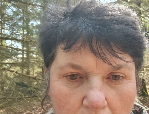 Jiřina - datum výstupu: 11. 04. 2026 12:54