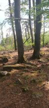 Meky - datum výstupu: 09. 05. 2026 17:25