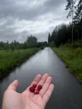 kocovk - datum výstupu: 10. 06. 2026 17:16