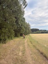 Vanes - datum výstupu: 06. 07. 2026 18:27