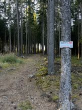 kocovk - datum výstupu: 13. 08. 2026 19:07