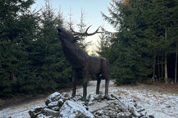 Jelení Hora - Na Kopce 365