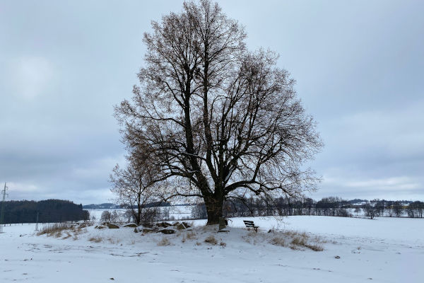 vyhlídka U Sosny - Na Kopce 365